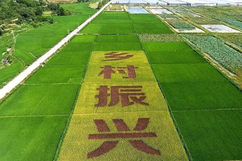 鄉村振興 鄉村振興